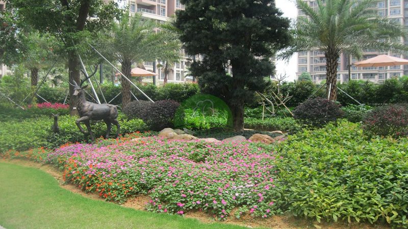 立体绿化：城市绿化新宠