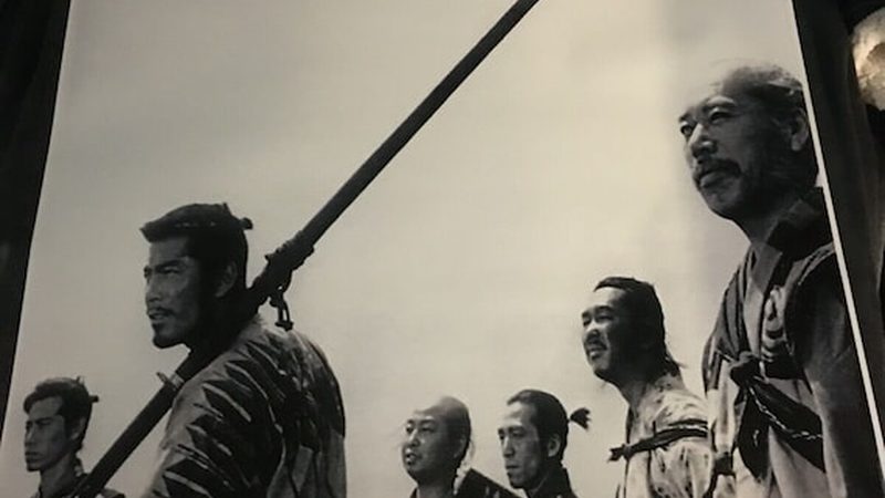 自家院子草坪铺设，这样操作更专业**