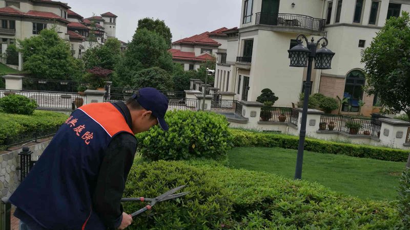 屋顶绿化植物价格报价单：揭秘成本构成与选购要点