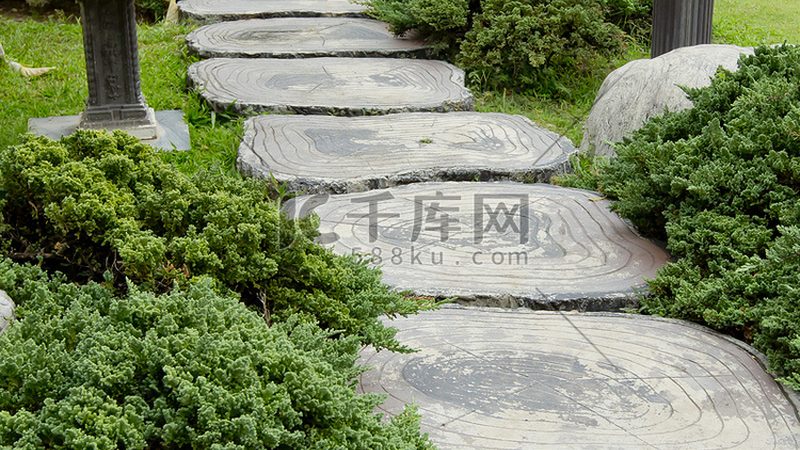 立体绿化：如何确保维护质量与标准**