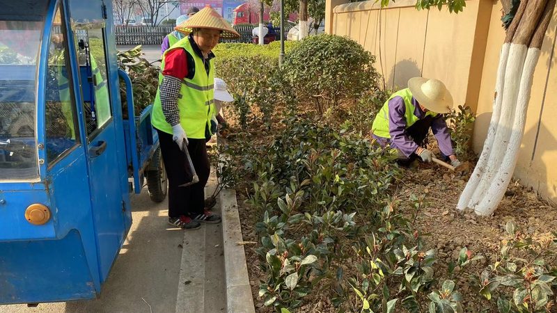 市政太阳能路灯安装施工流程全解析