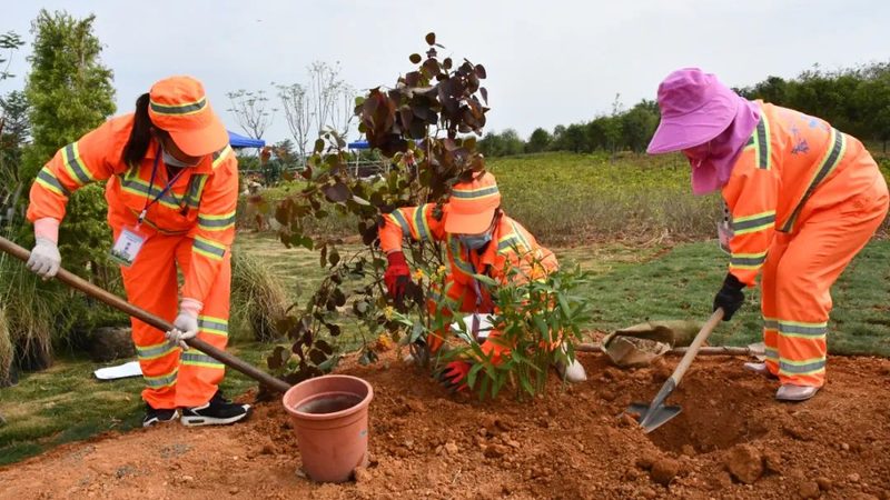 小型立体绿化墙植物选配