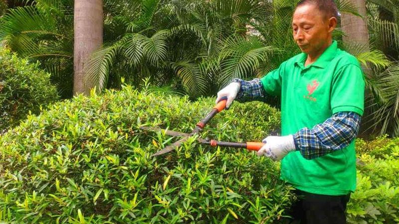 屋顶绿化报价单多少钱一平？揭秘屋顶绿化成本构成与影响因素