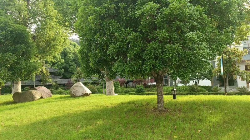 园林景观设计规范分类：标准解读与实施要点