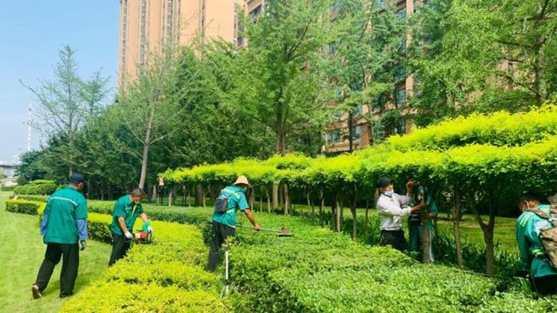 边坡绿化护坡草种选择：关键因素与科学方法**